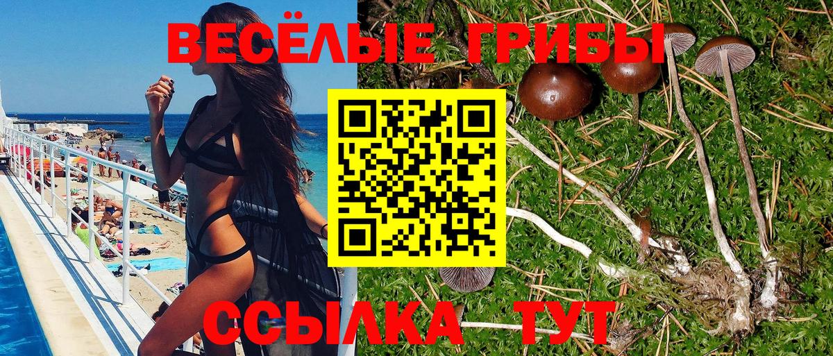 Советский  Псилоцибиновые грибы MAGIC MUSHROOMS  Вход с VPN  Галлюциногенные грибы Cubensis 
